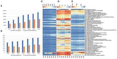 Spatial Analysis and Comparison of the Economic Burden of Common Diseases: An Investigation of 5.7 Million Rural Elderly Inpatients in Southeast China, 2010–2016